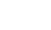 Logo Icon