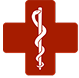 Logo Icon